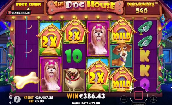 the-dog-house-megaways1 the-dog-house-megaways1