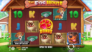 thedoghouse1 thedoghouse1